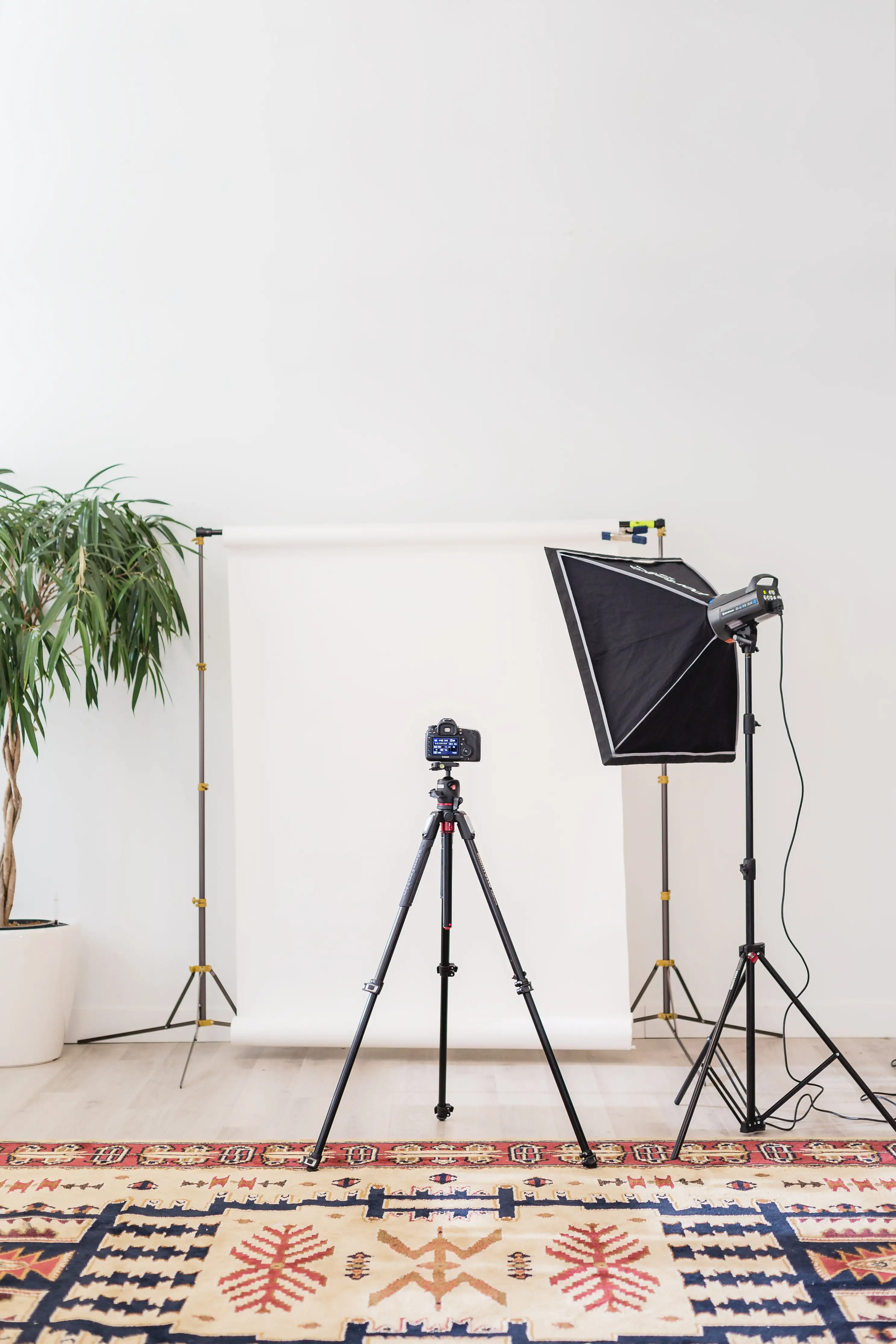 Creación de listings, imágenes, videos y clips para canales de venta online